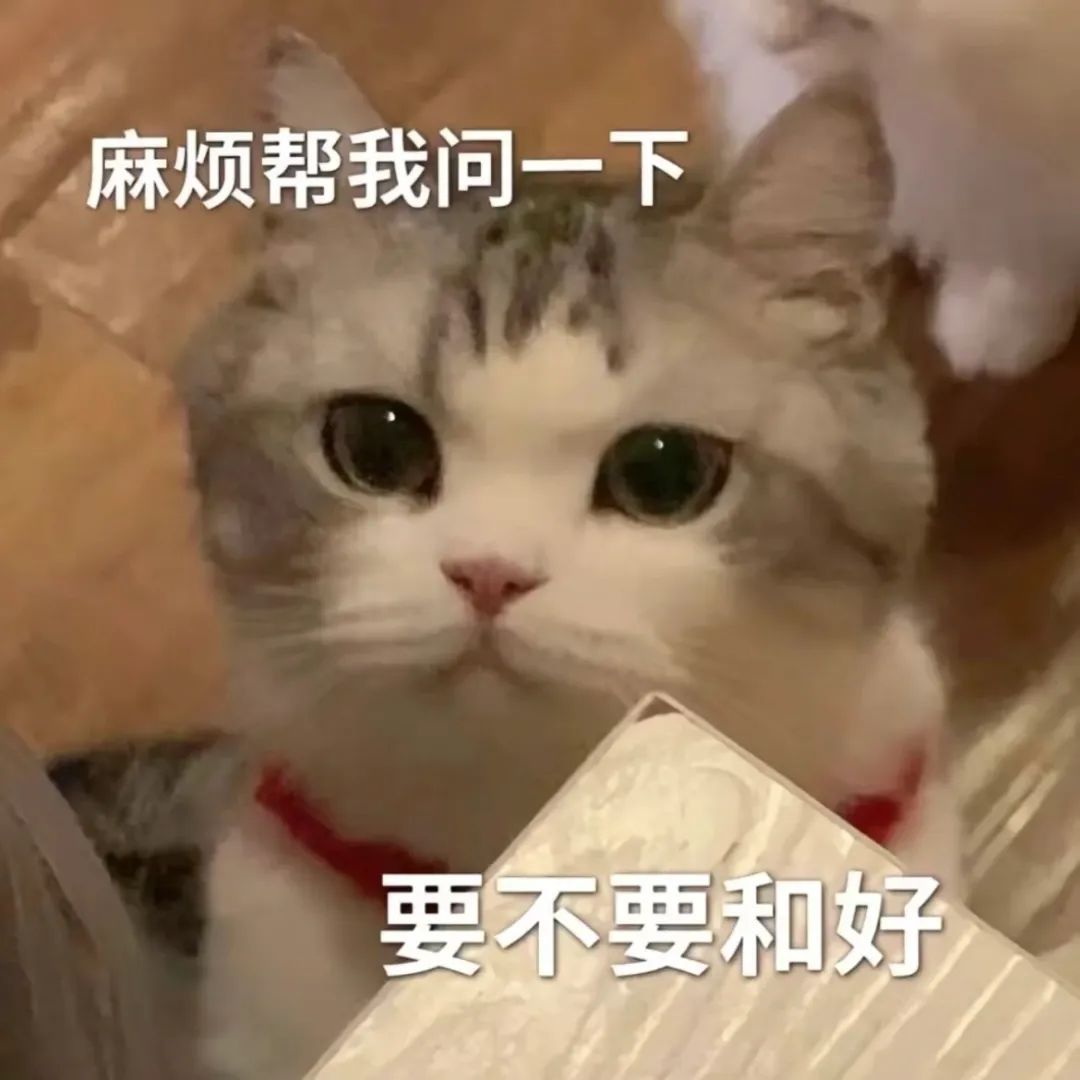 可爱猫咪表情包:“麻烦帮我问一下,要不要和好” 表情包:次奥表情包图片gif动图 - 求表情网,斗图从此不求人!