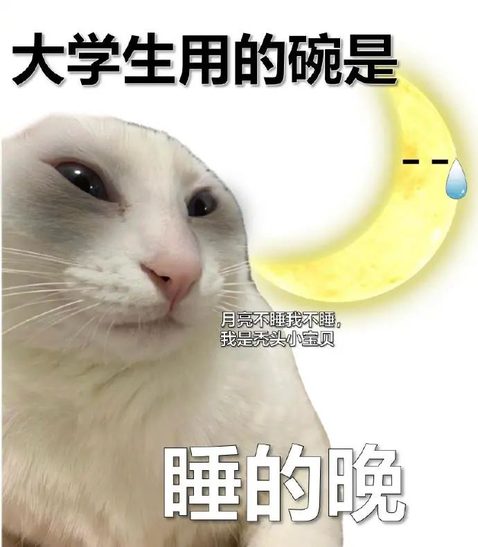 《大学生用的碗是“睡的晚”,月亮不睡我不睡的秃头小宝贝》 更适合当代大学生体质的表情包 | 大学生表情包表情包图片gif动图 - 求表情网,斗 ...