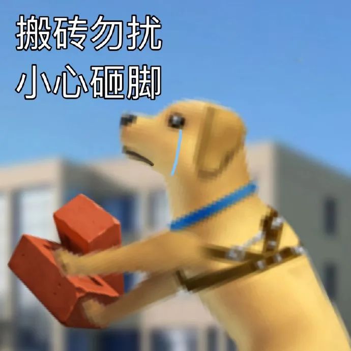 “搬砖勿扰小心砸脚”,可爱狗狗搬砖落泪的搞笑表情包 打工人表情包来啦~ 表情包图片gif动图 - 求表情网,斗图从此不求人!