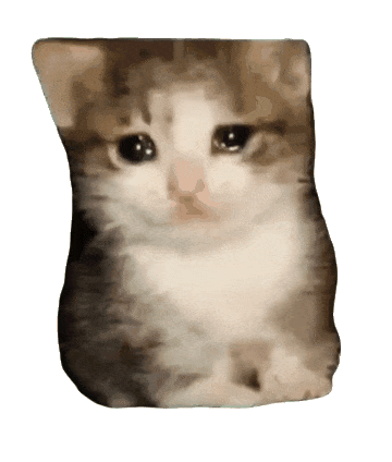 呆萌小猫乖巧模样，可爱到让人忍不住想rua 猫meme透明底抽象动态表情包表情包图片gif动图 - 求表情网,斗图从此不求人!