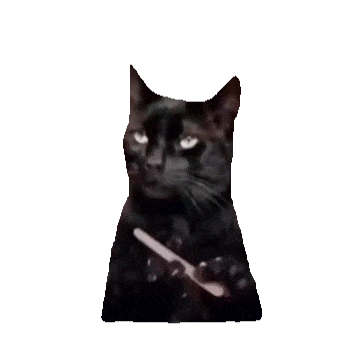 黑喵手持工具,眼神犀利,霸气侧漏的可爱模样 猫meme透明底抽象动态表情包表情包图片gif动图 - 求表情网,斗图从此不求人!