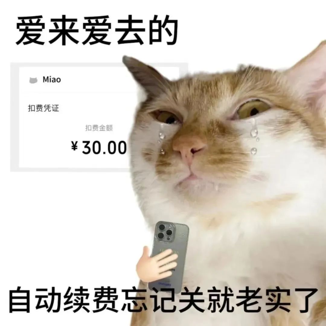 表情包:looking my eyes相关表情包,表情包专辑 - 求表情网,斗图从此不求人!