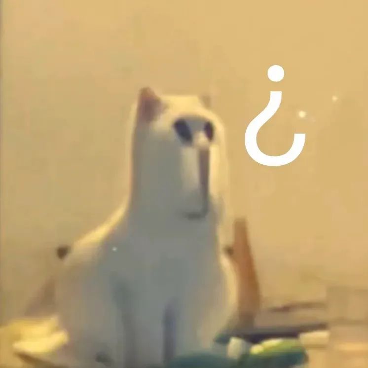 呆萌白猫一脸疑惑,旁边的“?”尽显可爱懵态 表情包:looking my eyes表情包图片gif动图 - 求表情网,斗图从此不求人!