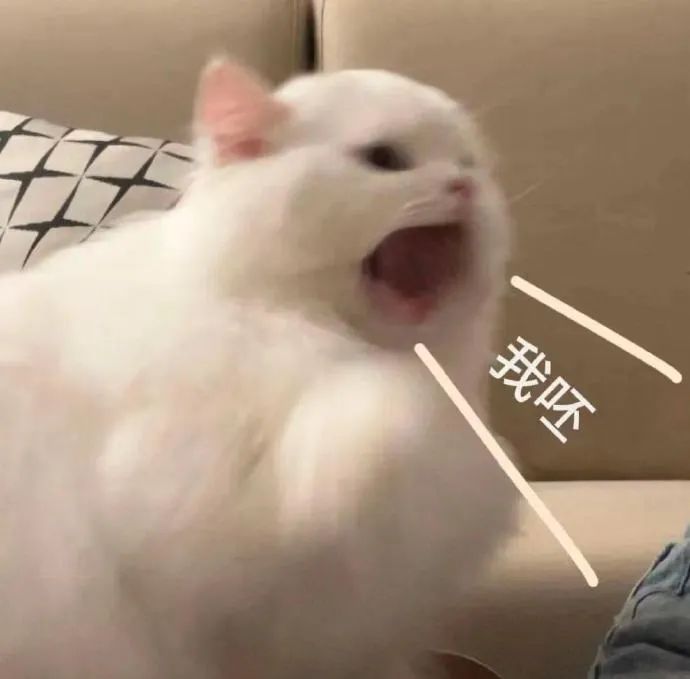 白色猫咪张大嘴巴表情凶狠,配文“我呸”超有气势 都是沙雕表情包表情包图片gif动图 - 求表情网,斗图从此不求人!