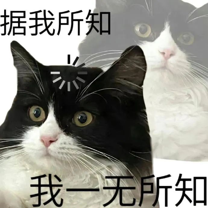 《据我所知 我一无所知》可爱猫咪表情包,萌趣十足 都是沙雕表情包表情包图片gif动图 - 求表情网,斗图从此不求人!