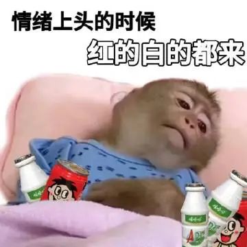 情绪上头的时候,红的白的都来,猴子这表情太逗了 实用抽象表情包表情包图片gif动图 - 求表情网,斗图从此不求人!
