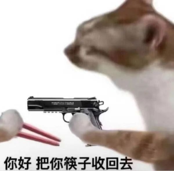 猫咪手持“枪”对着筷子,配文“你好 把你筷子收回去”超霸气 你好 我吃一点 | 把你的筷子收回去 | 猫咪表情包 表情包图片gif动图 - 求 ...