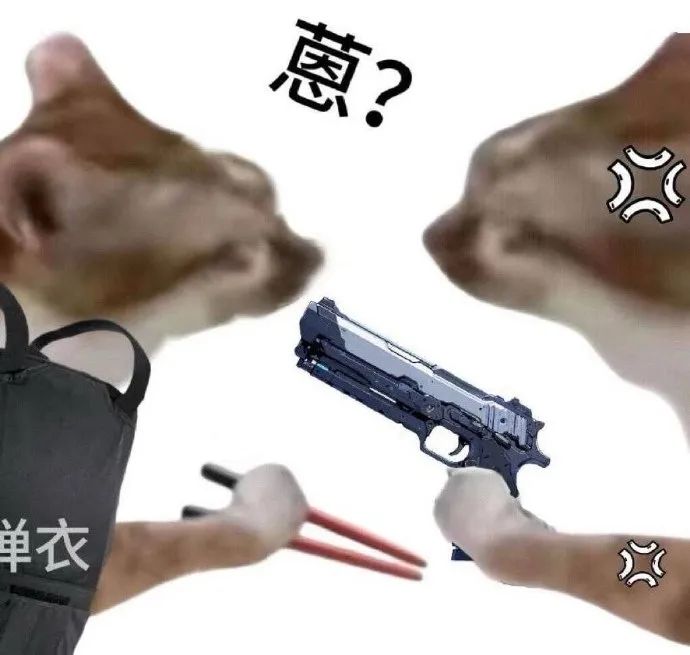 《惹？》两只手分别拿枪和筷子对峙，氛围紧张又带点搞笑 你好 我吃一点 | 把你的筷子收回去 | 猫咪表情包 表情包图片gif动图 - 求表情网 ...