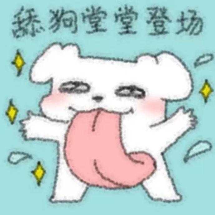 可爱小狗伸舌卖萌,配文“森狗堂堂登场”超有趣 分享这狗版超萌表达爱意表情包表情包图片gif动图 - 求表情网,斗图从此不求人!
