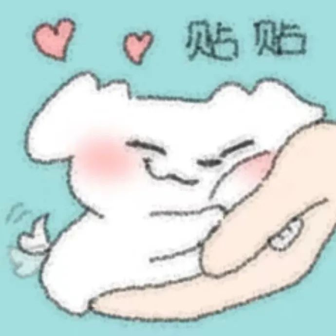 可爱小白狗依偎在手上，脸颊泛红配文“贴贴”超萌 分享这狗版超萌表达爱意表情包表情包图片gif动图 - 求表情网,斗图从此不求人!