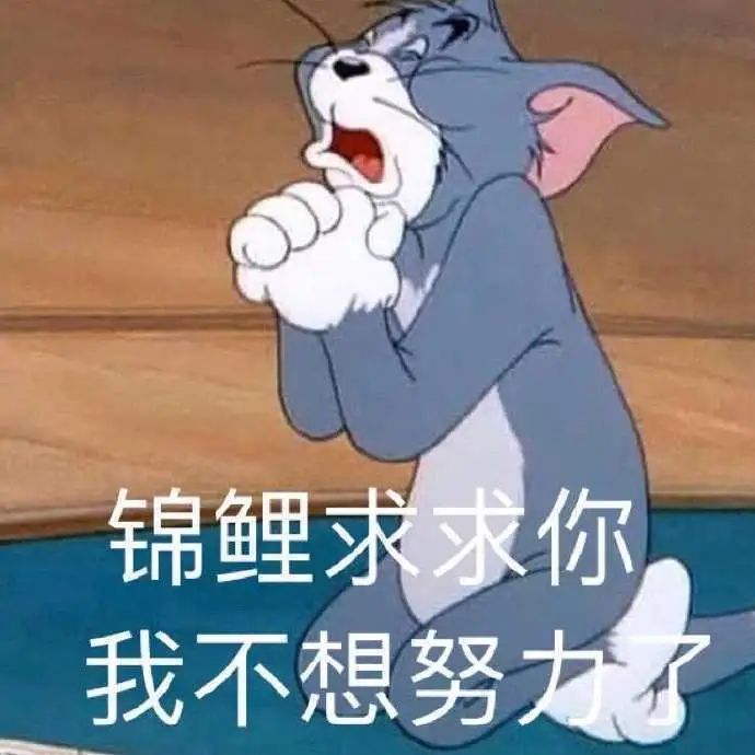 汤姆猫跪地双手合十,配文“锦鲤求求你 我不想努力了” 我好羡慕啊! | 可爱表情包表情包图片gif动图 - 求表情网,斗图从此不求人!