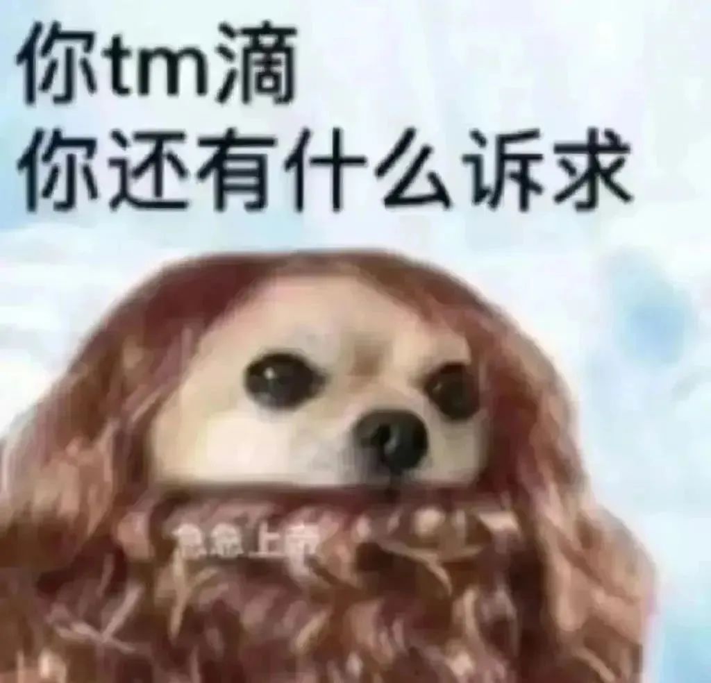“你tm滴 你还有什么诉求”,狗狗无奈脸表情包来袭 好笑的表情包表情包图片gif动图 - 求表情网,斗图从此不求人!