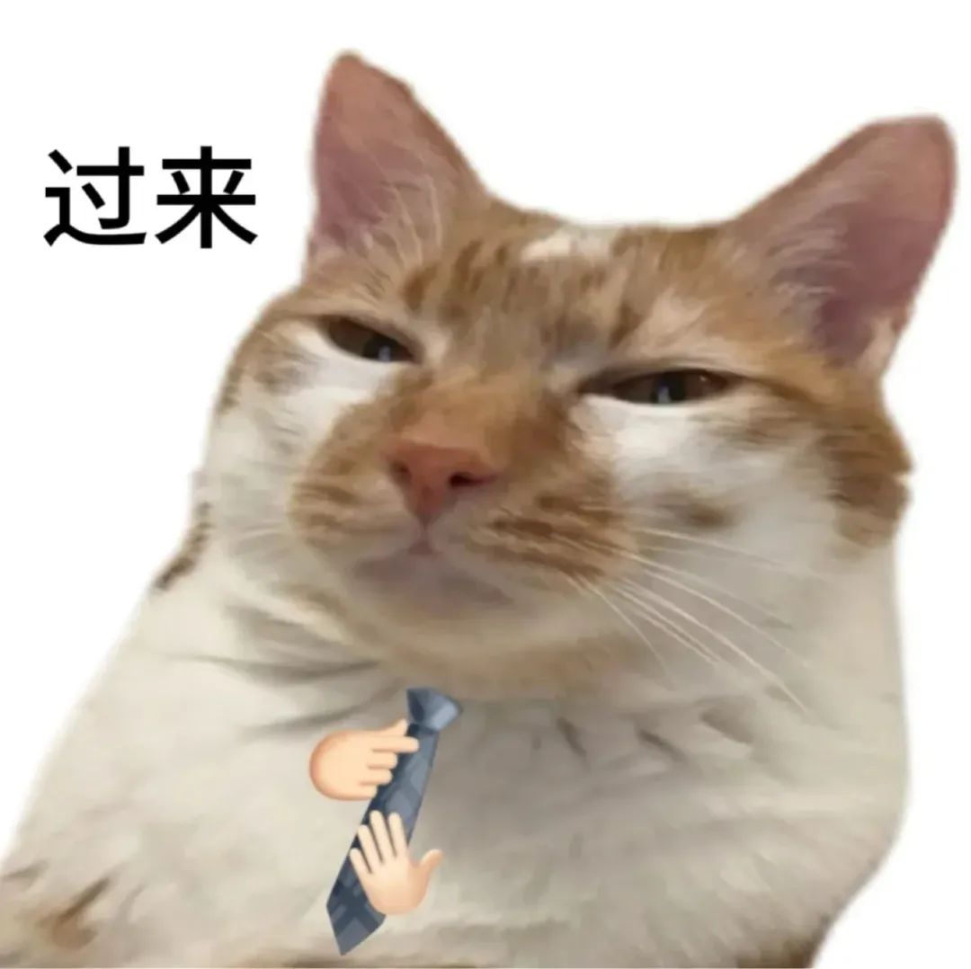 傲娇猫咪配文“过来”,手扯领带超有范儿的可爱表情包 表情包:啾咪表情包图片gif动图 - 求表情网,斗图从此不求人!