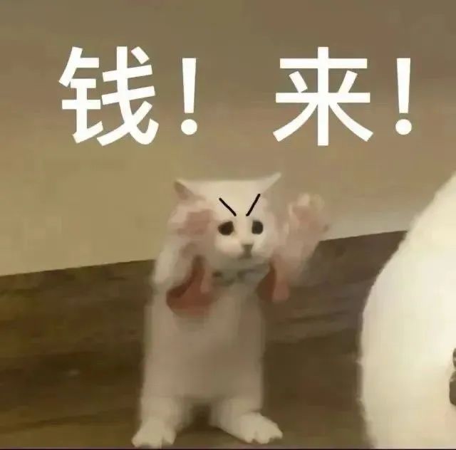 可爱小白猫配文“钱!来!”,生动演绎对金钱的渴望 表情包:在吗宝贝表情包图片gif动图 - 求表情网,斗图从此不求人!