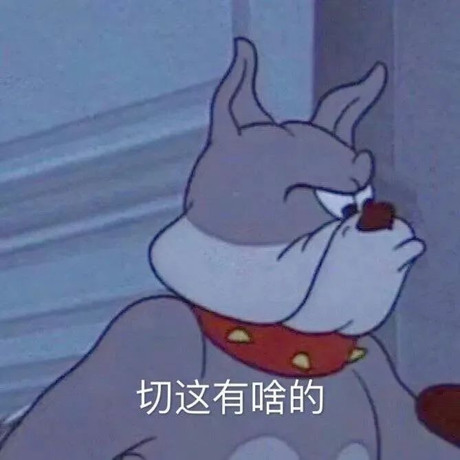 不屑狗狗表情来袭，“切这有啥的”尽显傲娇态度 个性优质的表情包表情包图片gif动图 - 求表情网,斗图从此不求人!
