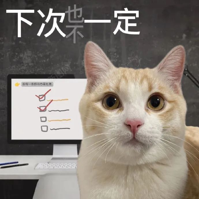 《下次也一定》,可爱猫咪表情萌,办公场景更添趣味 暴躁猫咪表情包表情包图片gif动图 - 求表情网,斗图从此不求人!