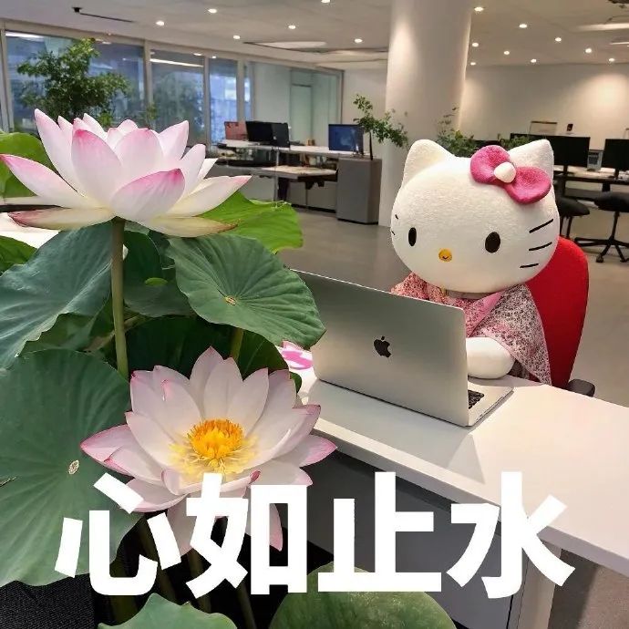可爱Hello Kitty坐办公室用电脑,旁有莲花配文“心如止水” kitty老年头像/打工表情包 表情包图片gif动图 - 求表情网,斗图 ...