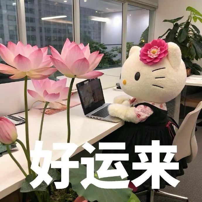 可爱Hello Kitty玩偶在桌前用电脑,配文“好运来”超萌 kitty老年头像/打工表情包 表情包图片gif动图 - 求表情网,斗图从此不求人!