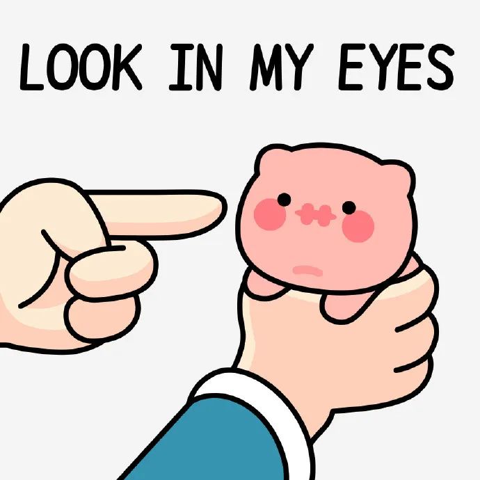 可爱小猪被手指着,配文“LOOK IN MY EYES”萌趣十足 𝙎𝙝𝙖𝙧𝙚 抽象 回答我表情包表情包图片gif动图 - 求表情网,斗图从此不求人!