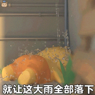 可爱玩偶被大雨浇淋,配文“就让这大雨全部落下”超有感觉 水豚噜噜表情包又来了,无字版更好用~表情包图片gif动图 - 求表情网,斗图从此不求人!