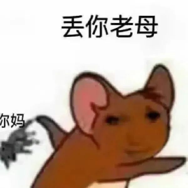可爱小动物一脸嫌弃，配文“丢你老母”超有个性 表情包龙图 | 宝宝 今晚可以嘛表情包图片gif动图 - 求表情网,斗图从此不求人!
