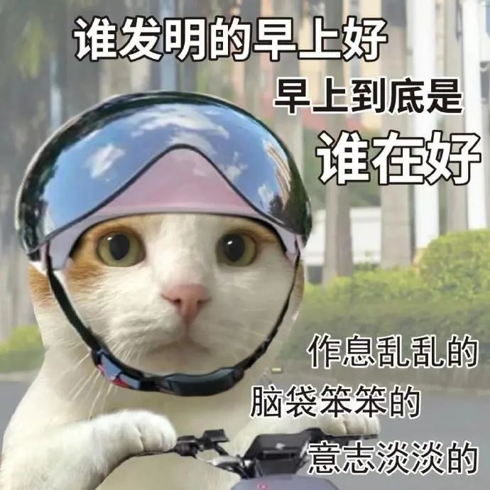 野猪一脸疑惑发问“谁发明的早上好 到底是谁在好” 浪浪山小妖怪表情包合集表情包图片gif动图 - 求表情网,斗图从此不求人!