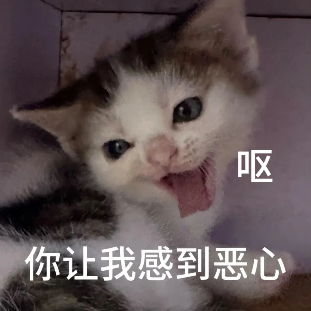 小猫表情夸张吐舌,配文“你让我感到恶心”的搞笑表情包 邪恶小鼻嘎表情包 | 猫咪表情包表情包图片gif动图 - 求表情网,斗图从此不求人!