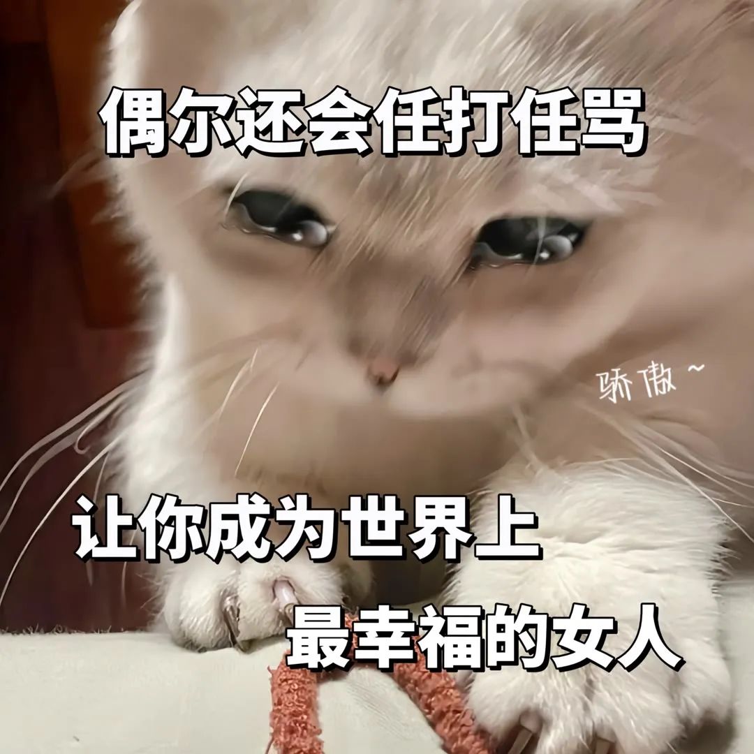 傲娇猫咪表情包:偶尔任打任骂,让你成为最幸福的女人 一些神经又抽象的表情包表情包图片gif动图 - 求表情网,斗图从此不求人!