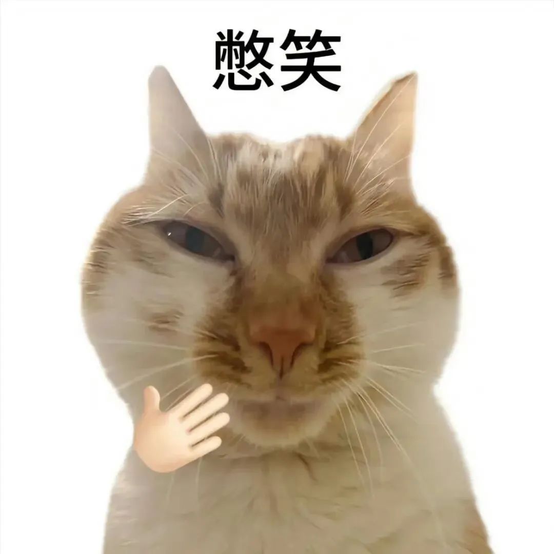 可爱猫咪憋笑表情包,小手一捂尽显萌态 表情包 我真得好好惩罚你了!表情包图片gif动图 - 求表情网,斗图从此不求人!
