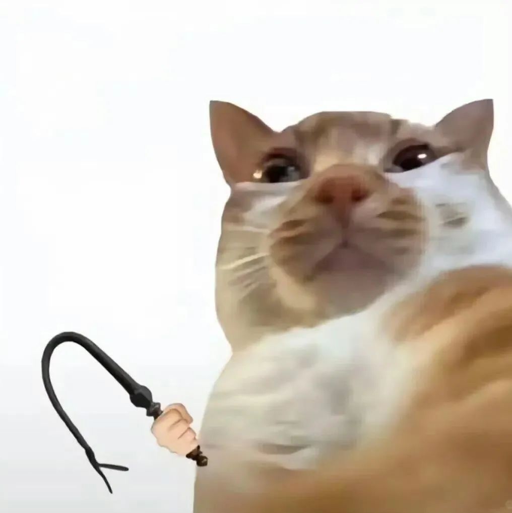 可爱猫咪手拿鞭子,表情呆萌又带点霸气 表情包 我真得好好惩罚你了!表情包图片gif动图 - 求表情网,斗图从此不求人!