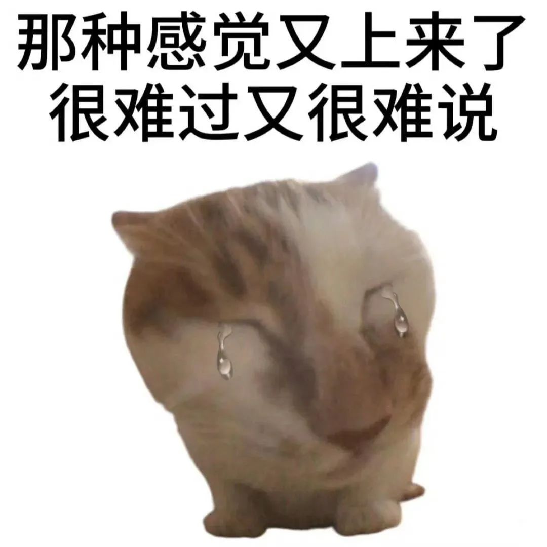 委屈落泪的猫咪,配文“那种感觉又上来了 很难过又很难说” 表情包 我真得好好惩罚你了!表情包图片gif动图 - 求表情网,斗图从此不求人!