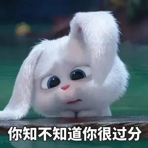 委屈巴巴的白兔表情,配文“你知不知道你很过分”超可爱 热门搞笑表情包表情包图片gif动图 - 求表情网,斗图从此不求人!