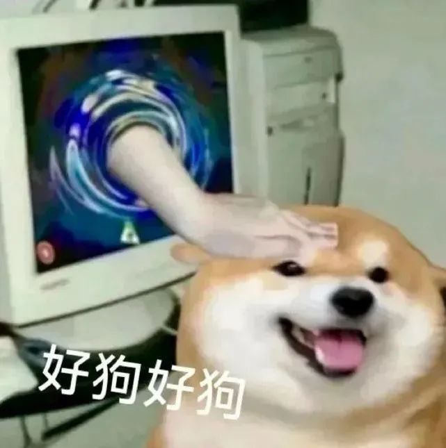 一只被手摸着脑袋的柴犬，配文“好狗好狗”，表情超治愈 阴阳怪气表情包表情包图片gif动图 - 求表情网,斗图从此不求人!