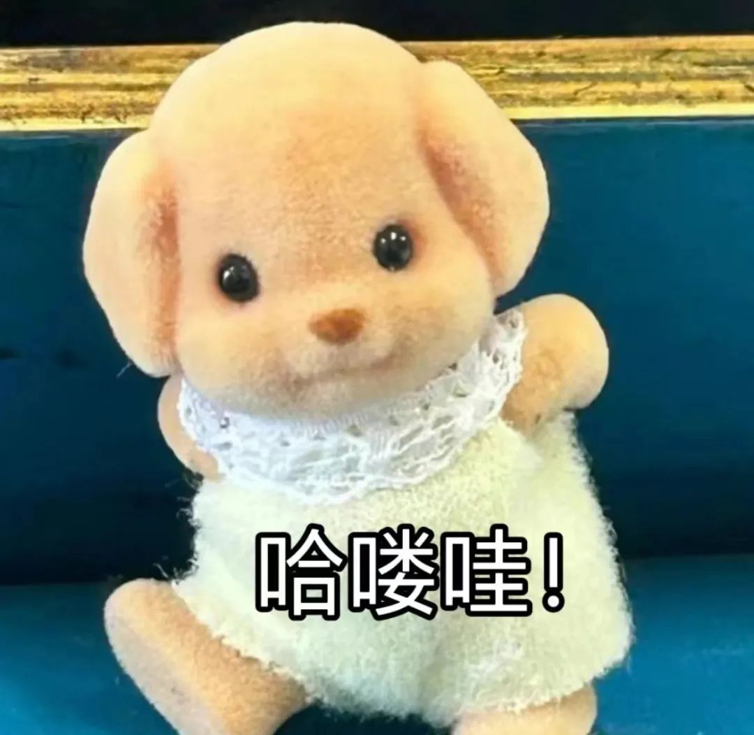 可爱毛绒玩偶打招呼,“哈喽哇”萌趣十足超治愈 ๑每日表情包꒰ | ๑哈喽哇!表情包图片gif动图 - 求表情网,斗图从此不求人!