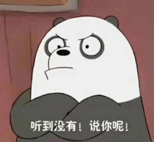 可爱熊猫双手抱胸,表情严肃配文“听到没有!说你呢!” 该换表情包了~表情包图片gif动图 - 求表情网,斗图从此不求人!
