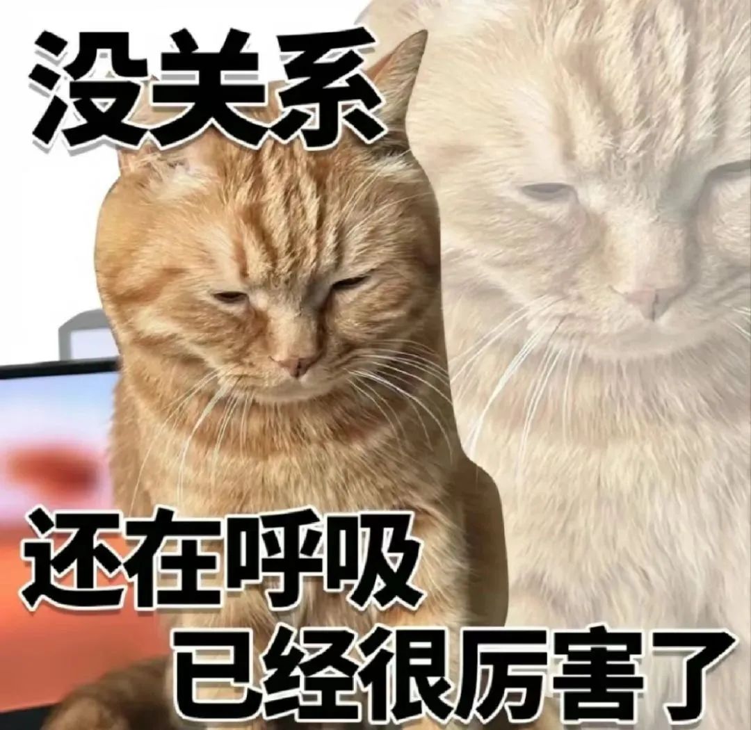 《猫咪表情超淡定,配文“没关系 还在呼吸 已经很厉害了”超有趣》 最新表情包,有人跟我一起存吗?表情包图片gif动图 - 求表情网,斗图从此不求人!