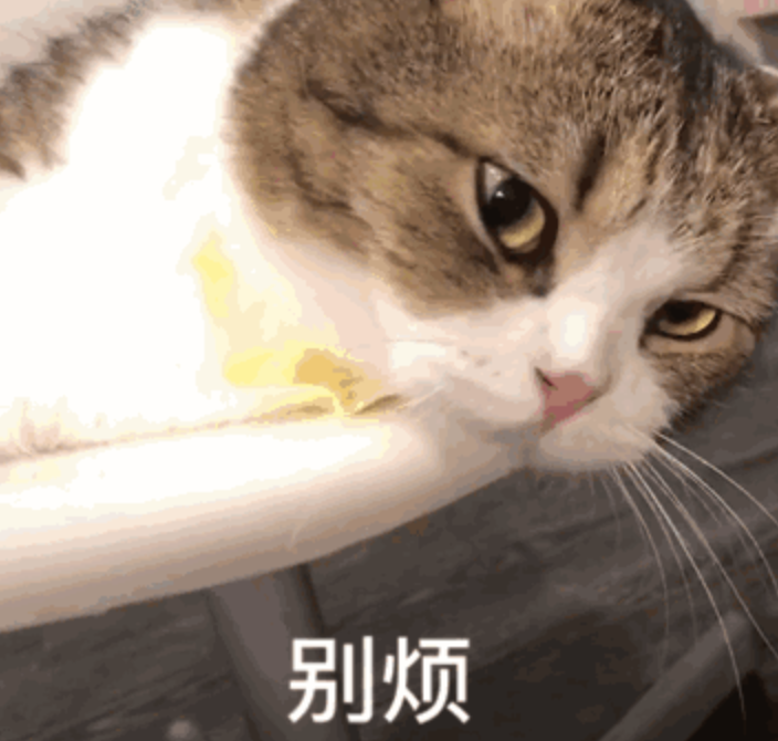 猫咪一脸不耐烦,配文“别烦”尽显傲娇 好用但有病的表情包表情包图片gif动图 - 求表情网,斗图从此不求人!