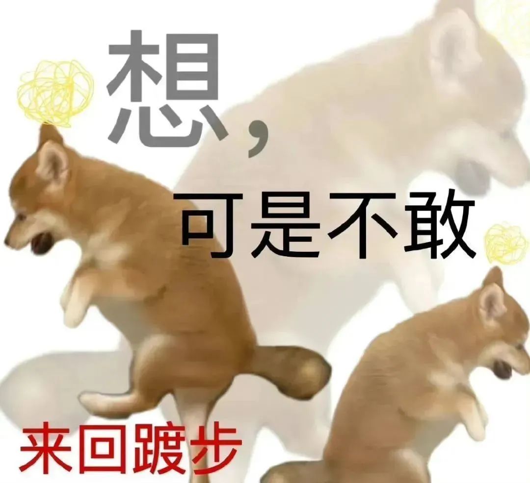《想,可是不敢来回踱步》——纠结狗狗的可爱表情包 表情包|把老子都逗笑了表情包图片gif动图 - 求表情网,斗图从此不求人!