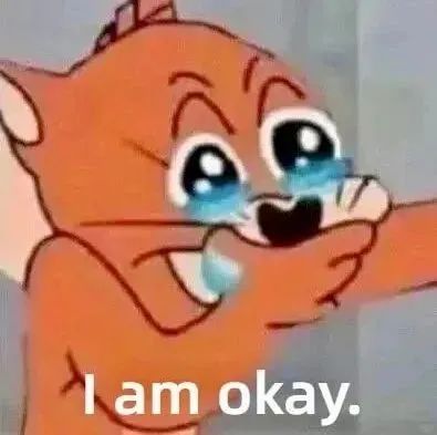 委屈落泪的小猫却嘴硬说“I am okay.”,尽显心酸 实用搞笑表情包表情包图片gif动图 - 求表情网,斗图从此不求人!