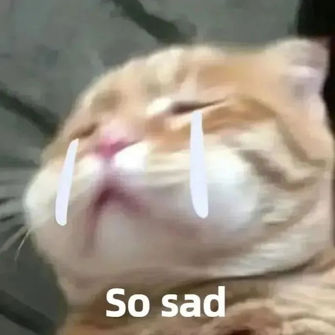 闭着眼睛流泪的猫咪，配文“So sad”尽显悲伤难过 实用搞笑表情包表情包图片gif动图 - 求表情网,斗图从此不求人!