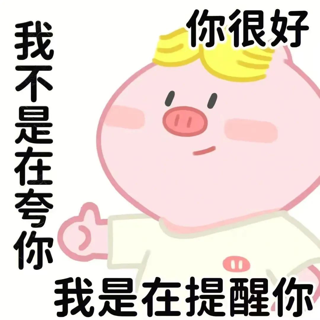 可爱小猪表情包:“你很好,我不是在夸你,我是在提醒你” 表情包|这还拿不下你?表情包图片gif动图 - 求表情网,斗图从此不求人!