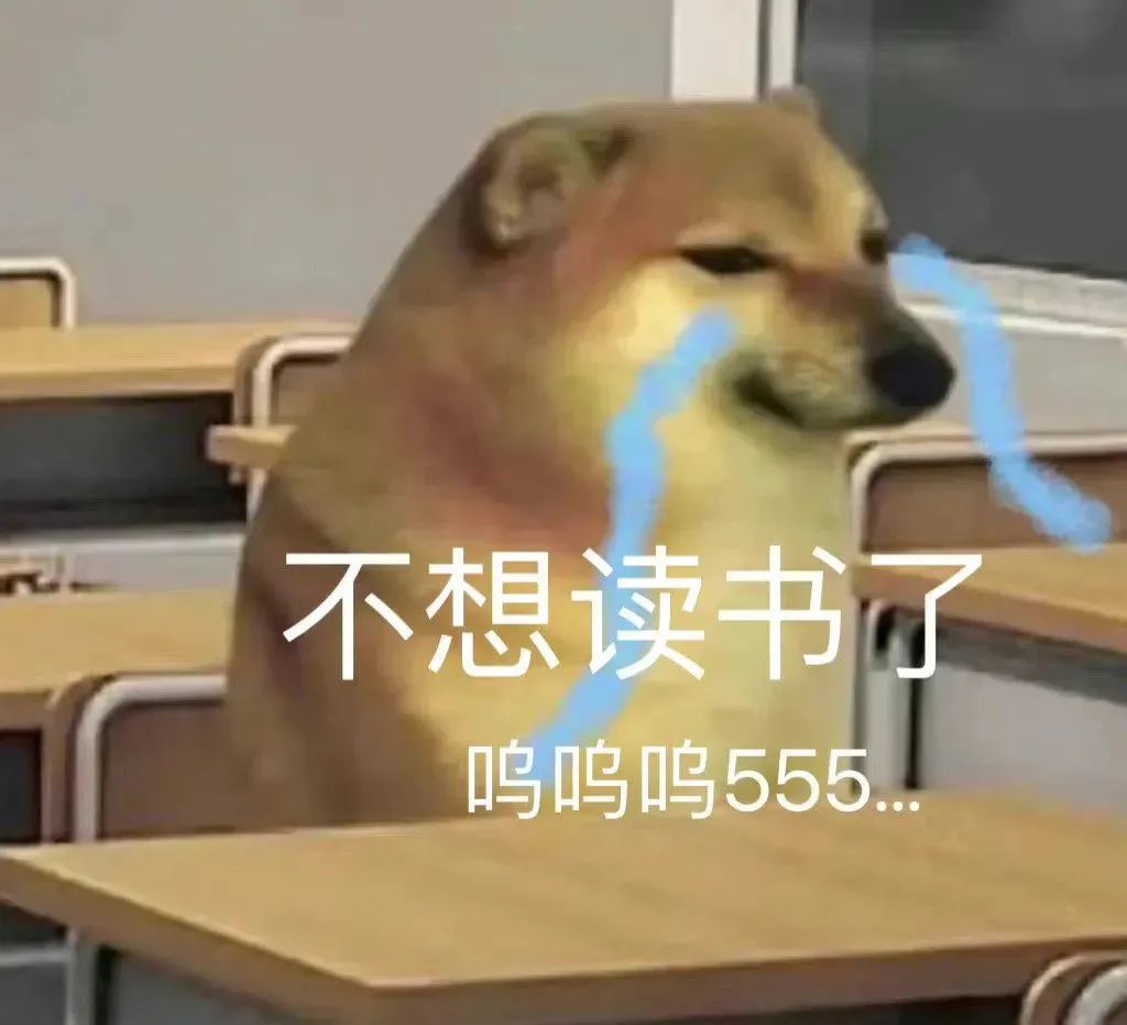 狗狗坐在教室里泪流满面,配文“不想读书了 呜呜555...” 表情包|喝杯水压压惊表情包图片gif动图 - 求表情网,斗图从此不求人!
