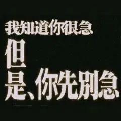 《我知道你很急但是你先别急》文字表情包 表情包:lay了表情包图片gif动图 - 求表情网,斗图从此不求人!