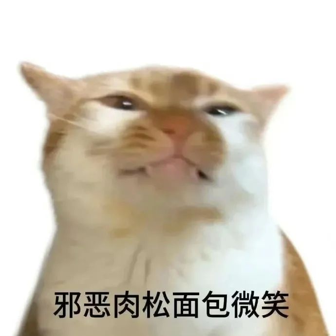 《邪恶肉松面包微笑》猫咪表情滑稽,令人忍俊不禁的可爱模样 猫咪表情包|我要好好惩罚你 表情包图片gif动图 - 求表情网,斗图从此不求人!