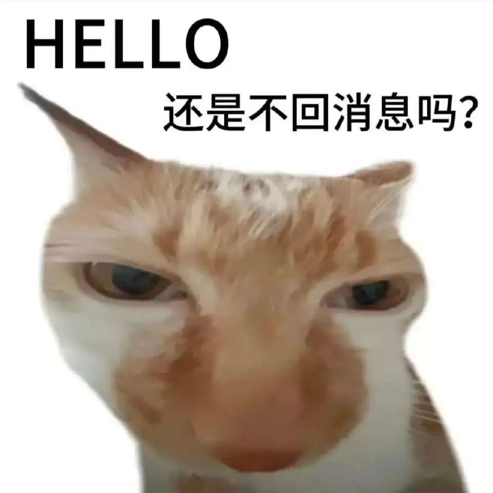 《猫咪表情包:“HELLO 还是不回消息吗?”的可爱质问》 奇奇怪怪的表情包表情包图片gif动图 - 求表情网,斗图从此不求人!