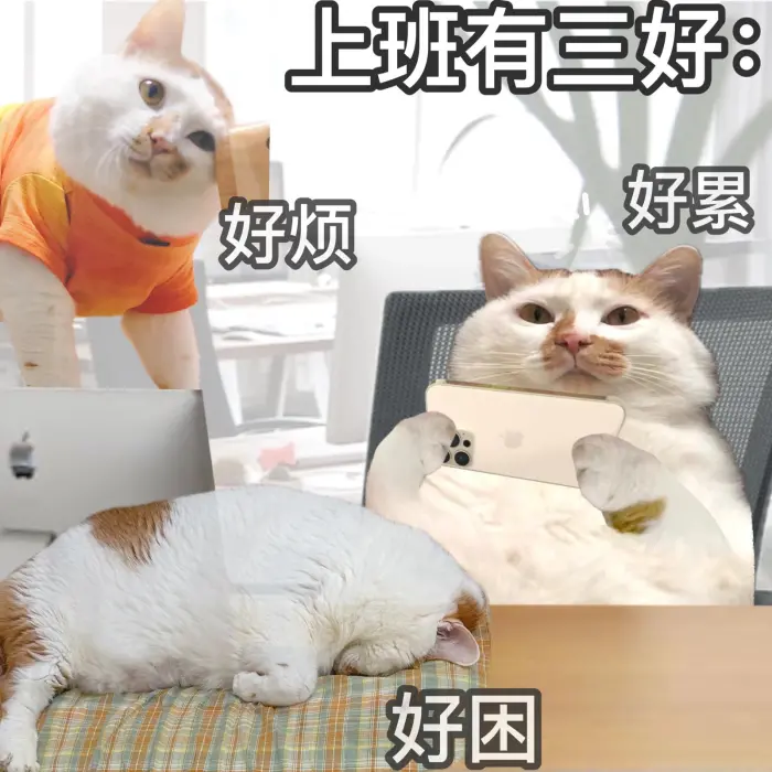 《上班有三好:好烦好困好累》猫咪表情包尽显打工人的无奈 猫咪表情包丨上班哪儿有不疯的?表情包图片gif动图 - 求表情网,斗图从此不求人!