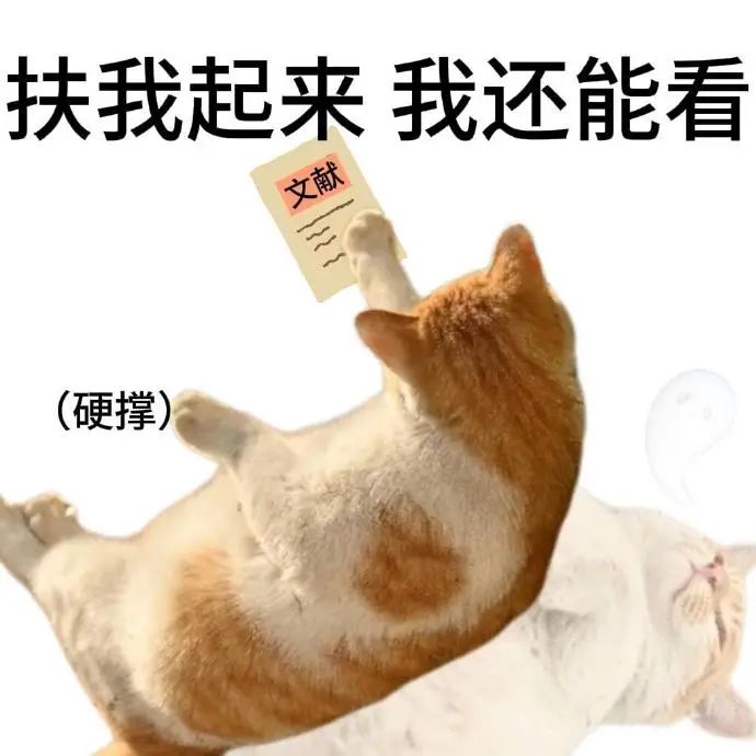 《扶我起来我还能看》:猫咪举着“文献”硬撑着也要继续看的搞笑模样 猫咪表情包(学术版)表情包图片gif动图 - 求表情网,斗图从此不求人!