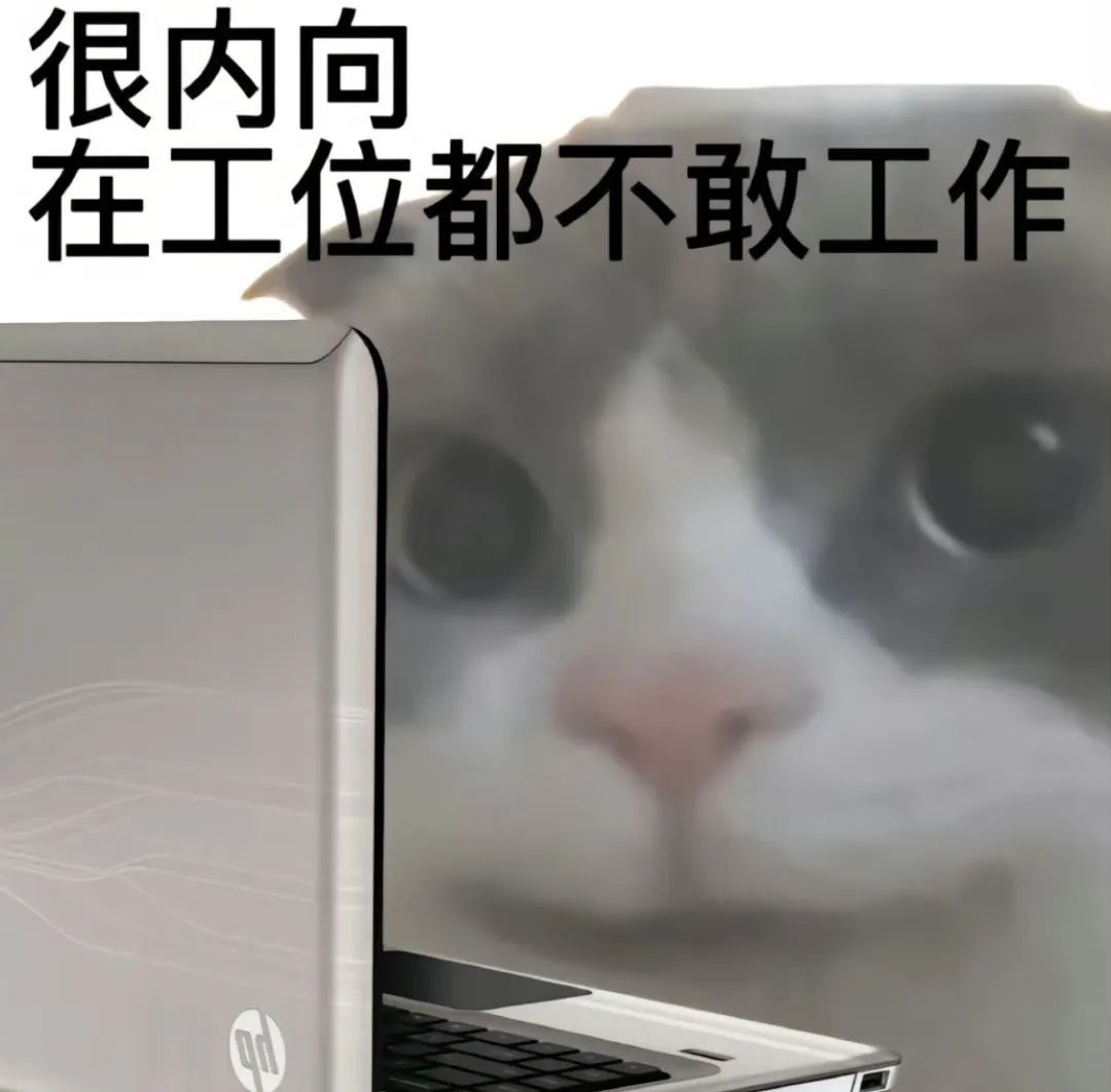 “很内向 在工位都不敢工作”,猫咪表情尽显社恐打工人的心态 可爱猫猫狗狗表情包表情包图片gif动图 - 求表情网,斗图从此不求人!