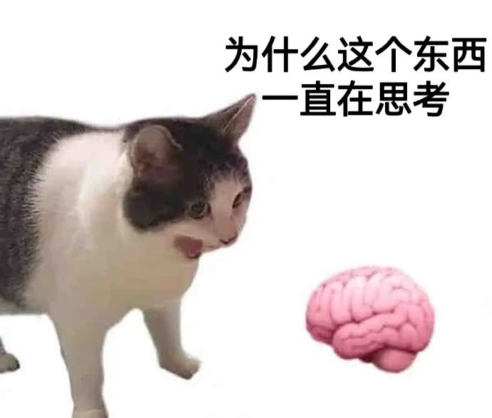 《猫对大脑模型一脸疑惑:为什么这个东西一直在思考》 速领取今日份表情包!Meme GIF - MemeVerse, Never Lose a ...