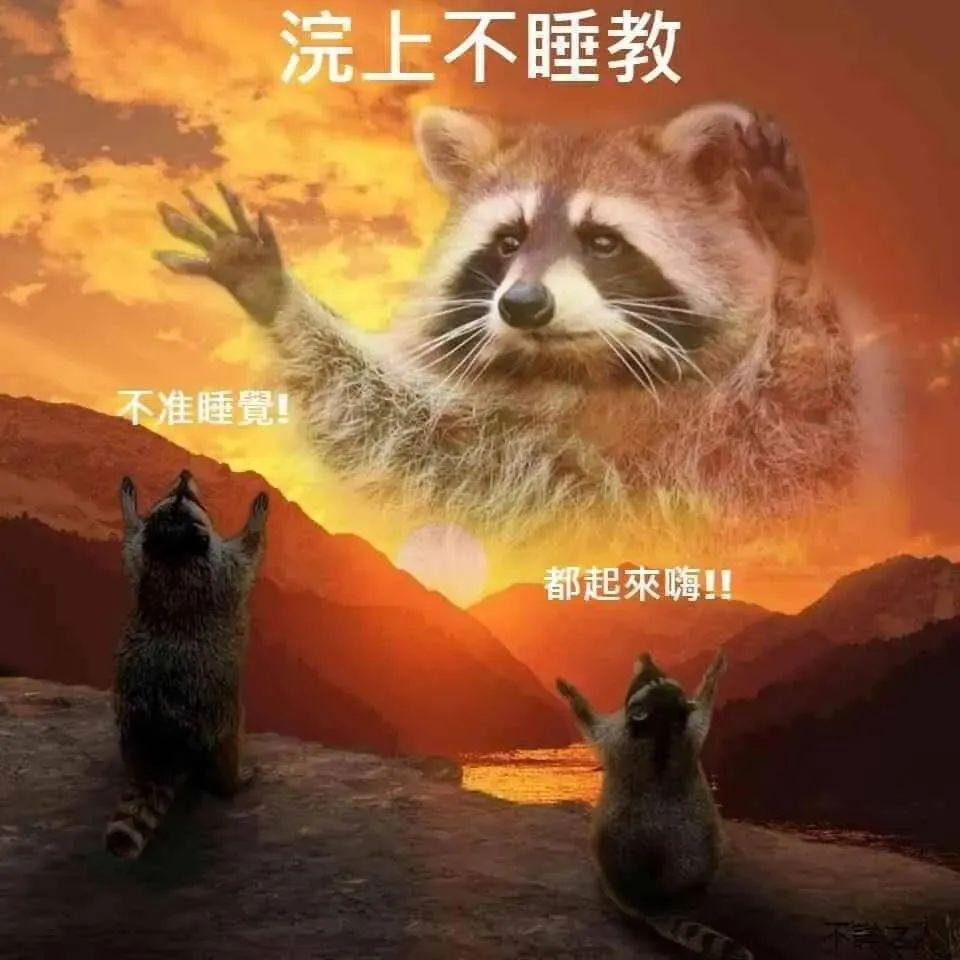 浣熊教主霸气宣言:浣上不睡教,都起来嗨不准睡觉 表情包|是是是 您教训的对表情包图片gif动图 - 求表情网,斗图从此不求人!